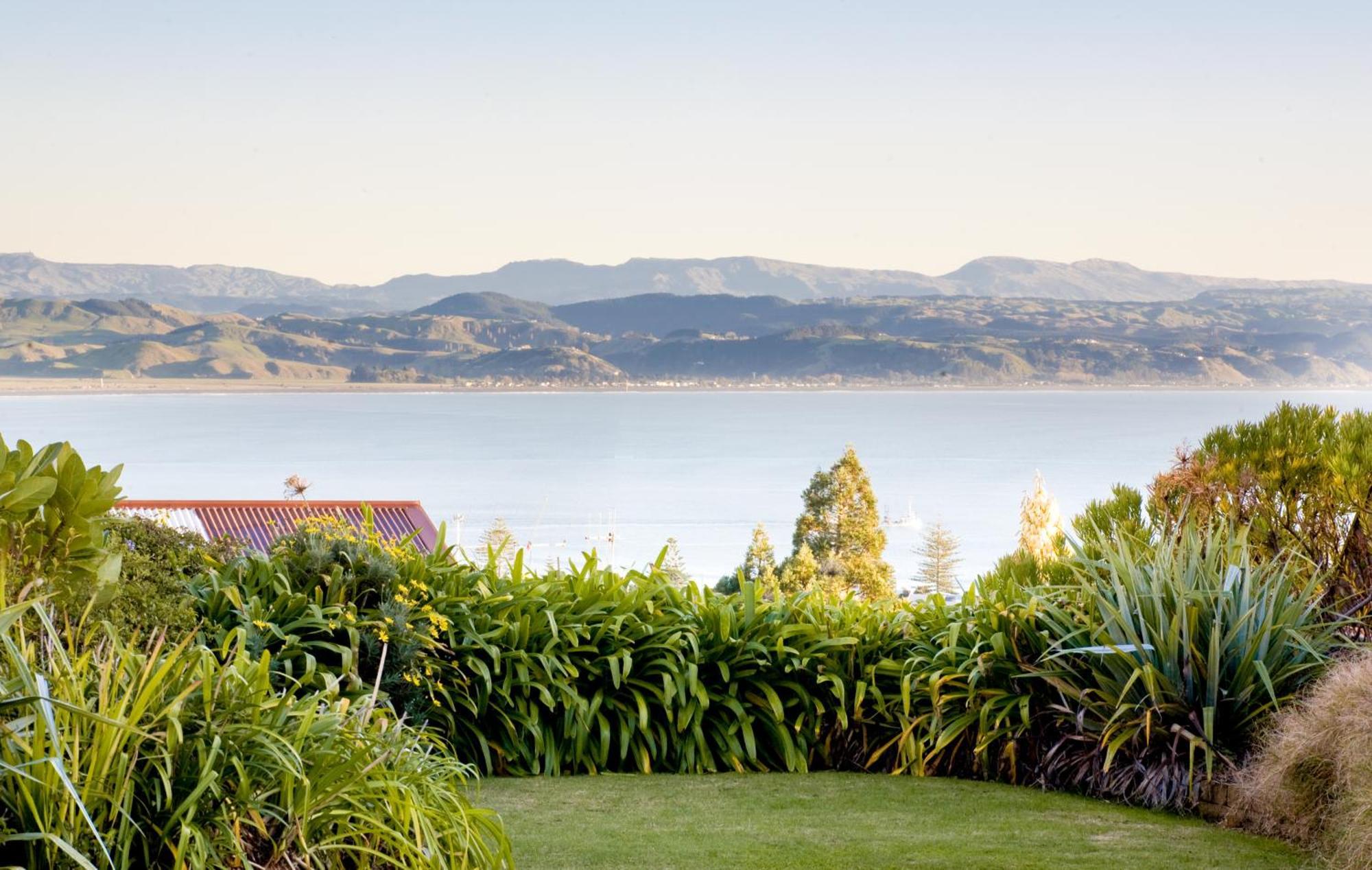 Mchardy Lodge Napier Exterior foto